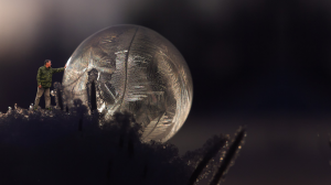 В лесах юрского периода