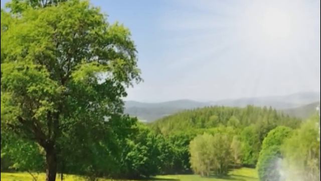 Ярамир Низамутдинов -  "Россия" (авторская песня)