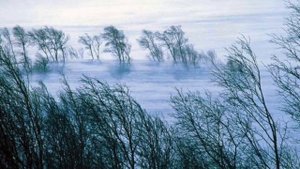 «Когда мне встречается в людях дурное...» Эдуард Асадов