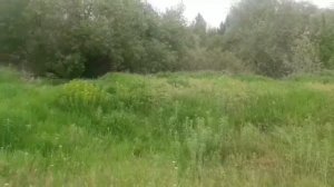 Маленькая девочка ушла из дома от мамы    Little girl left home from mom #Карина #playtime #игры