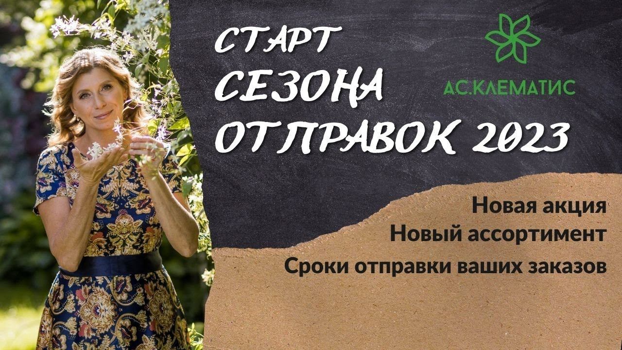 ОБЗОР сортов 2х летних саженцев! НОВЫЙ ассортимент клематисов на сайте АС-КЛЕМАТИС. смотреть онлайн