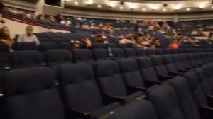 партер Сатиры