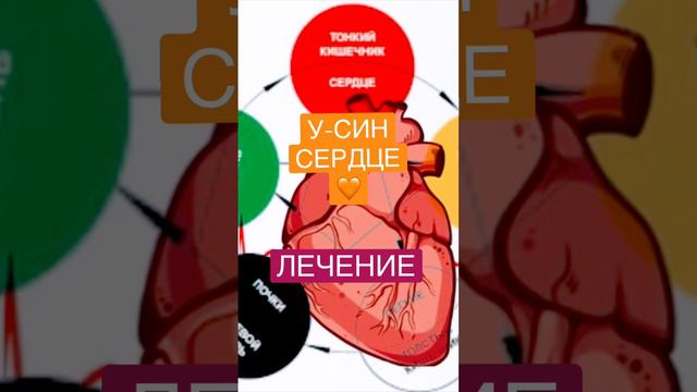 У-син. сердце. Лечение.#силавереска