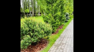 Пластиковые бордюры Кантри