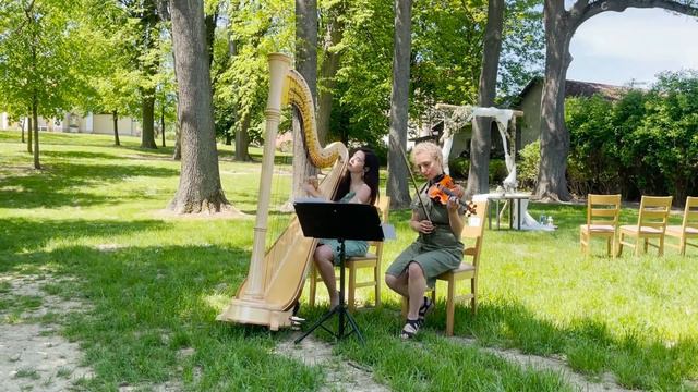La Califfa (Ennio Morricone) - Simona Voříšková harpist (harp & violin cover) смотреть онлайн