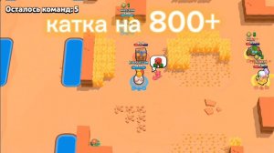 катка на 800+