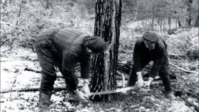 Любовь земная. Читает Василий Рылов.