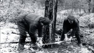 Любовь земная. Читает Василий Рылов.