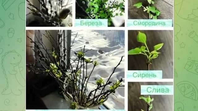 Дневник наблюдения Лиды смотреть онлайн