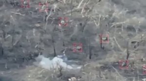 Запорожское_ Арта 42 Гв МсД превратила нахрюк чубов в отхрюк в р-не Новопрокоповки.