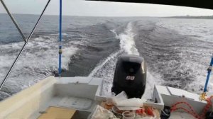 Подвесной двигатель 90 л.с. на катере Краб-620