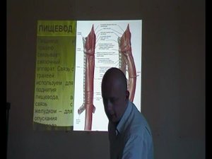 Семинар ВИСЦЕРАЛЬНАЯ ОСТЕОПАТИЯ 2 ВО2_08