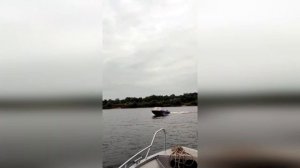 РУСБОТ 45