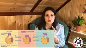 ФЕРМЕНТЫ|СЛОЖНЫЕ И ПРОСТЫЕ ФЕРМЕНТЫ |АМИЛАЗА |КЛАССИФИКАЦИЯ ФЕРМЕНТОВ