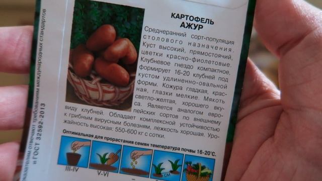 семена КАРТОФЕЛЯ от СеДеК @agrocompany_sedek ??? Ассоль, Ажур, Лидер, Дева!!!