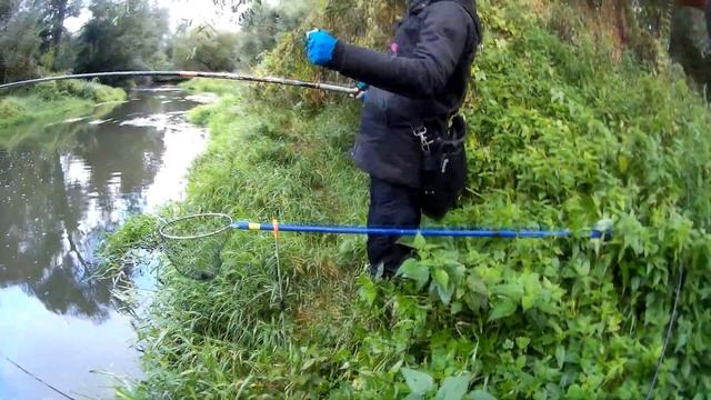 08 сентября 2022 года БОКОВОЙ кивок на малой Подмосковной речушке! смотреть онлайн