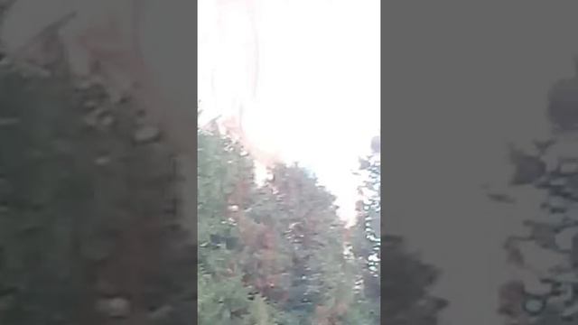 Я йду до дому смотреть онлайн