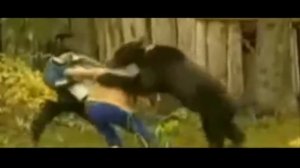 нападение медведя на человека, прикол.