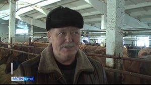 Доярка из Поспелихинского района получит сегодня специальную краевую премию «За верность профессии»