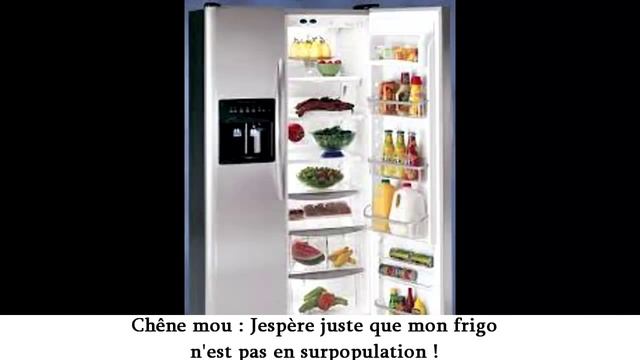 Dofus : Epic Dofus Battles ! Dragon cochon vs Chêne mou #8 смотреть онлайн