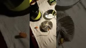 Подводный фонарь Вега-2 на  ХНР70 с штатным рефлектором