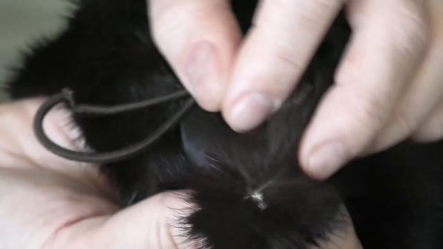 УЖАС!!! Купила? за 105 000 р. в Снежной Королеве?Развели по полной!!! смотреть онлайн