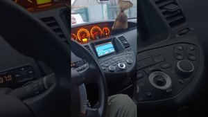 1. Обзор ниссан примера п 12