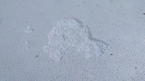 Улей Лысонь - синички любят клевать крыши ППС Лысонь , плотность крыш очень низкая