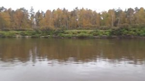 Рыбалка в Нижневартовске. Река Вах, сентябрь 2019.