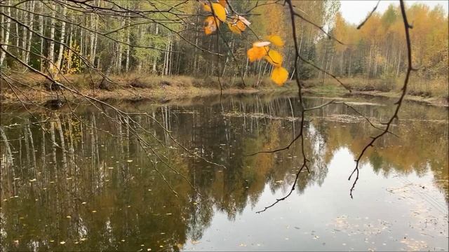 Экологический патруль Планеты детства го Клин Даньшина Ульяна