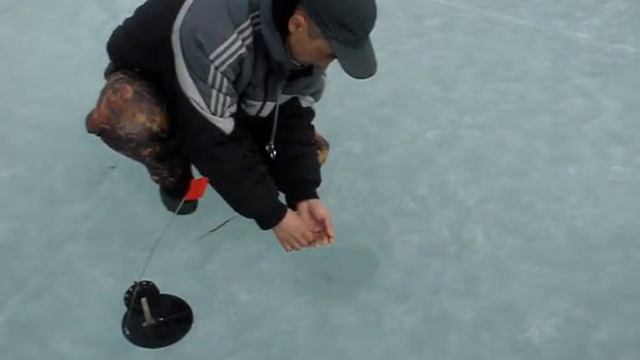 MOV00717.MPG смотреть онлайн