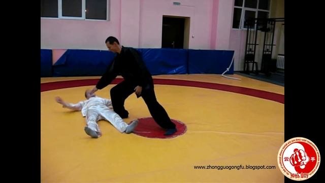 Боевые применения тайцзицюань