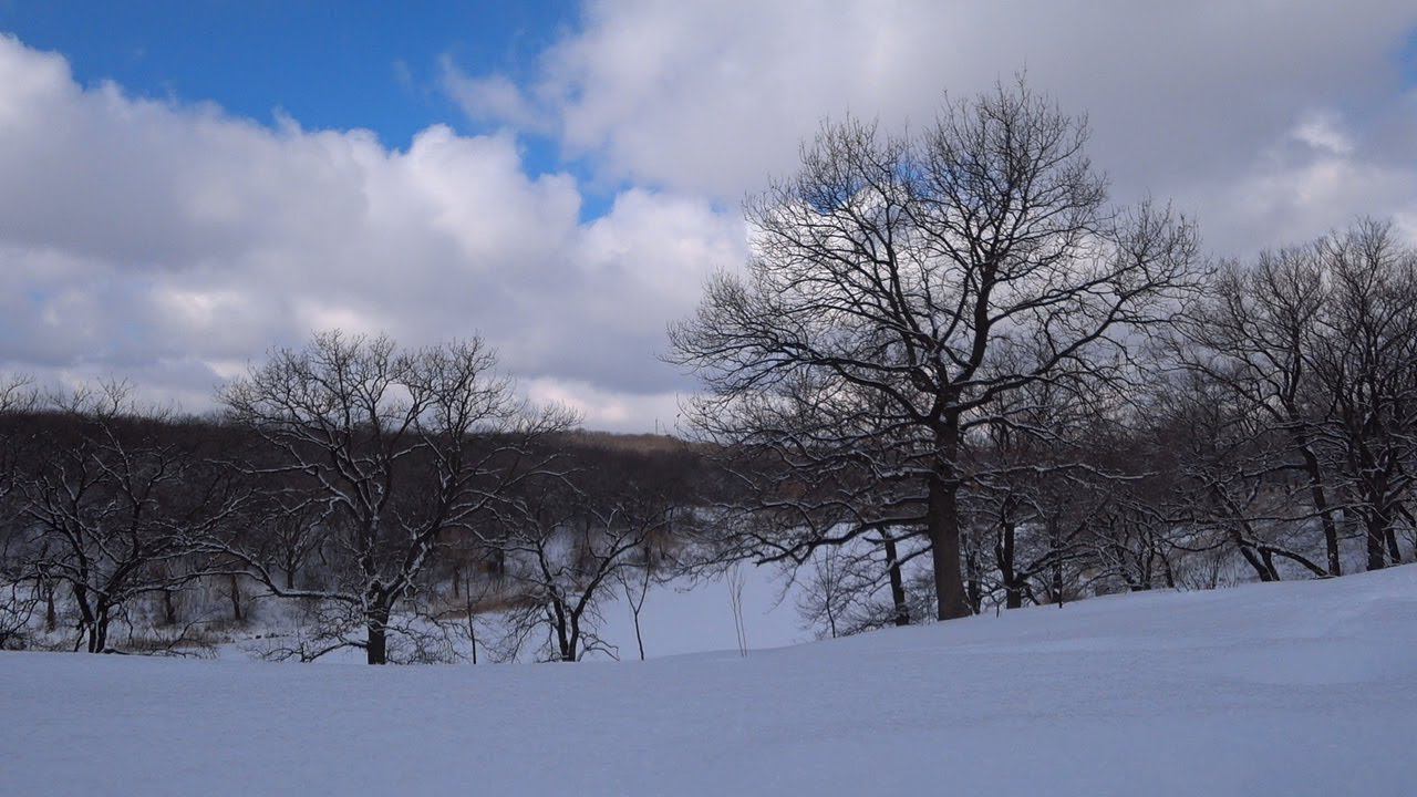 Зимний ставок