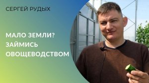 Мало земли? Займись овощами. Один га морковки в 30 раз прибыльнее пшеницы. Опыт кооператива из Ейска