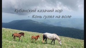 159 Кубанский казачий хор - Конь гулял на воле