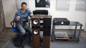 Обзор напольной акустики Fyne Audio F303