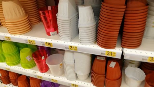 Орхидеи. Цветы. Икея. Ашан. 17 февраля 2018 г. смотреть онлайн