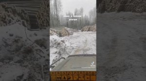 заготовка леса в Томской области