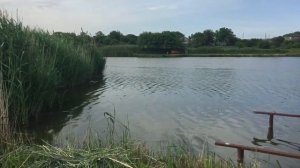 Рыбалка село Садовое «Казачий стан» 29.05.2021