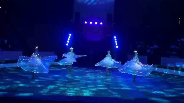 Светодиодные крылья