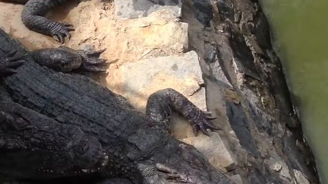 Вьетнам. В поисках чистой воды. смотреть онлайн