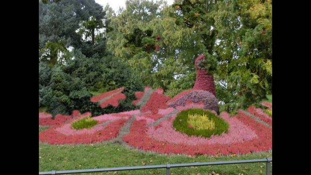 herbst auf der insel mainau mainau 2020 смотреть онлайн