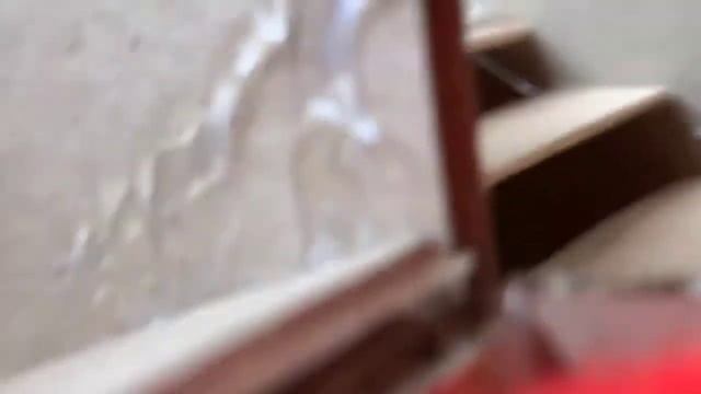 Экстремальный лабиринт с ловушками для хомяков ? [ПОЛОСА ПРЕПЯТСТВИЙ] ?