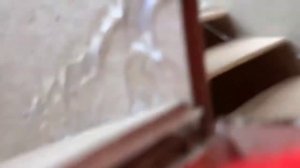 Экстремальный лабиринт с ловушками для хомяков ? [ПОЛОСА ПРЕПЯТСТВИЙ] ?