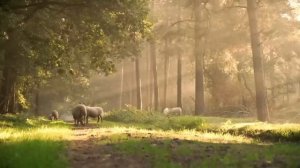 Волшебник внутри тебя! Осознай это! Вадим Зеланд.