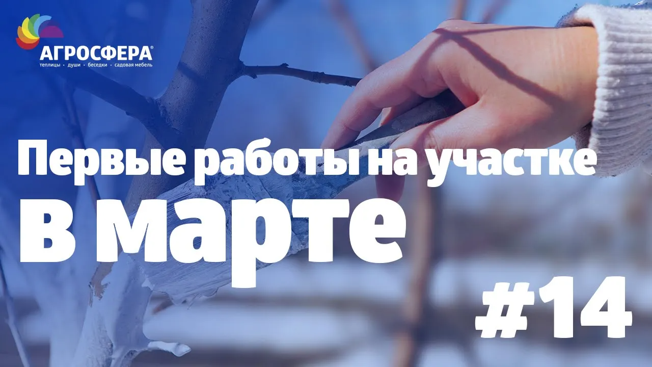 Советы для дачи и сада #14 - работы на огороде в марте / агросфера.рф смотреть онлайн