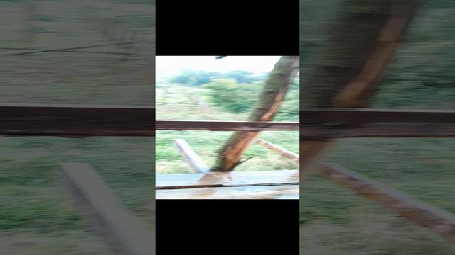У нас дожди