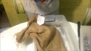 Распаковка пары черных мамб!))