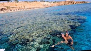 Reef Oasis Beach Resort 4* Sharm El Sheikh, Egypt