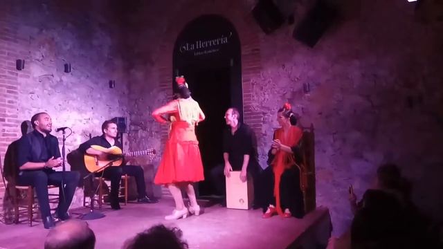 Фламенко-страстный испанский танец. Flamenco-Испанский танец